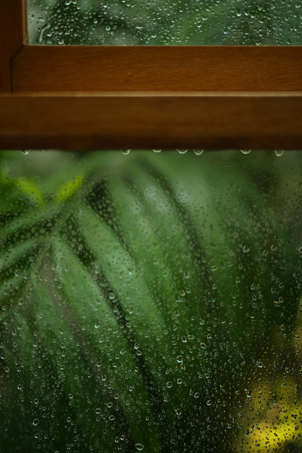 Rainwater House