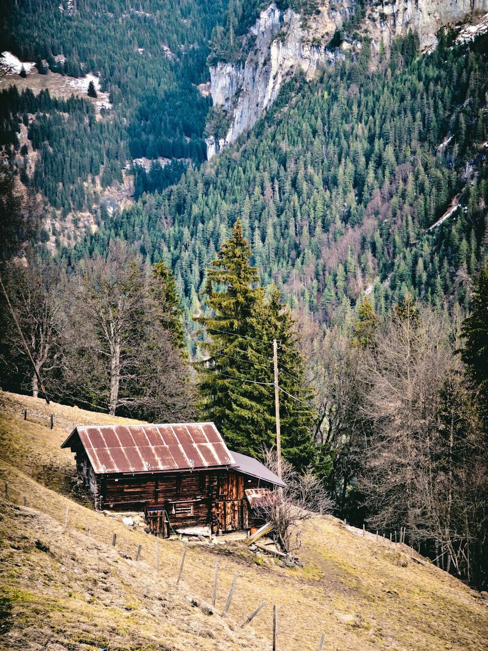 Alpine Retreat