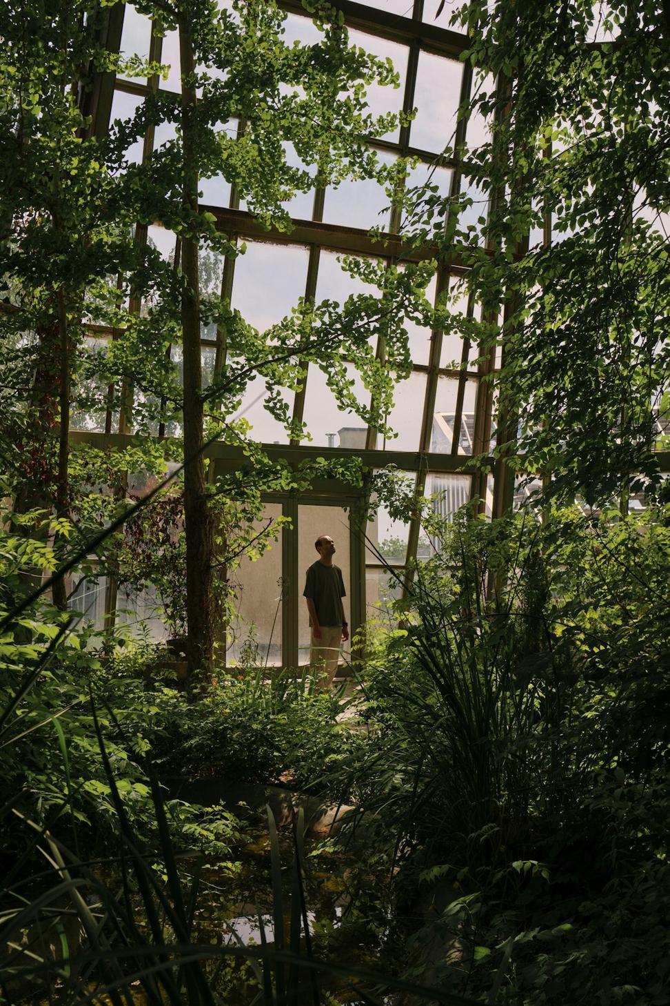 Forest Glass House
